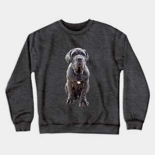 Neapolitan Mastiff - Stunning Dog! Crewneck Sweatshirt